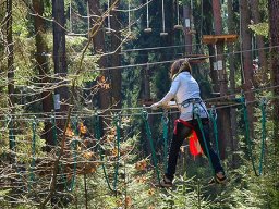 bild1