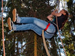bild3